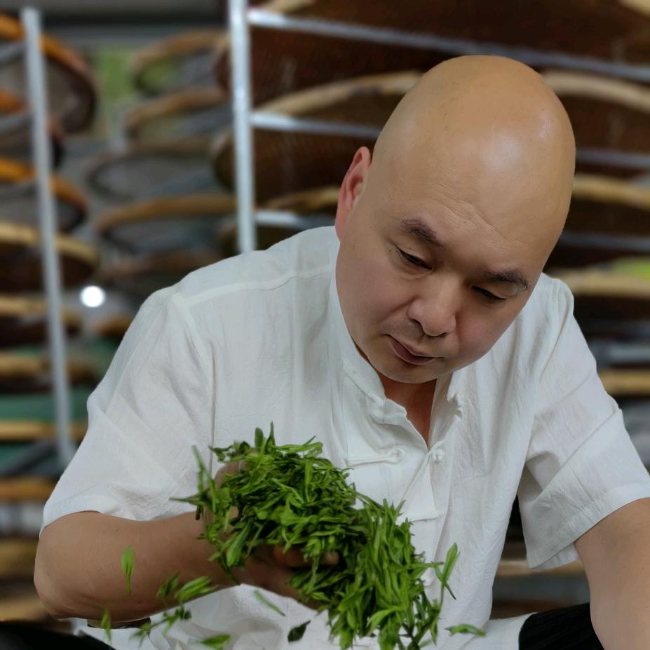 非遗制茶杨师傅（霍山杨郑茶业）