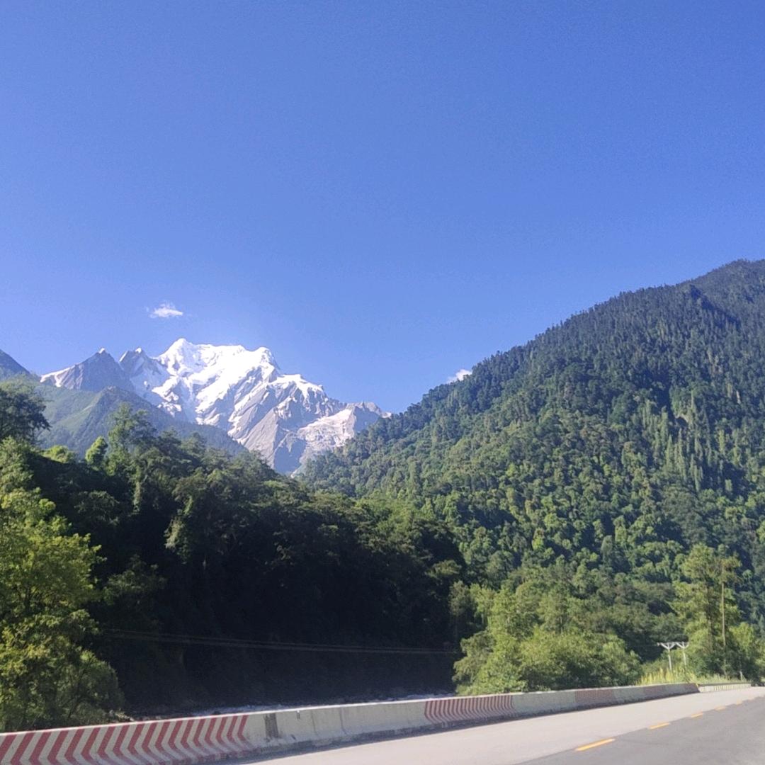 老栗