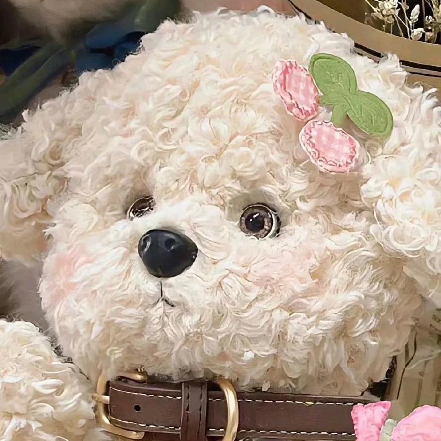 卷卷贸易精品好货