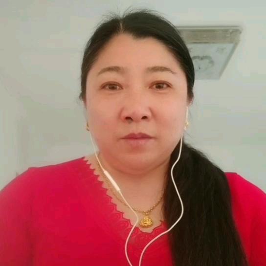 翟业菊
