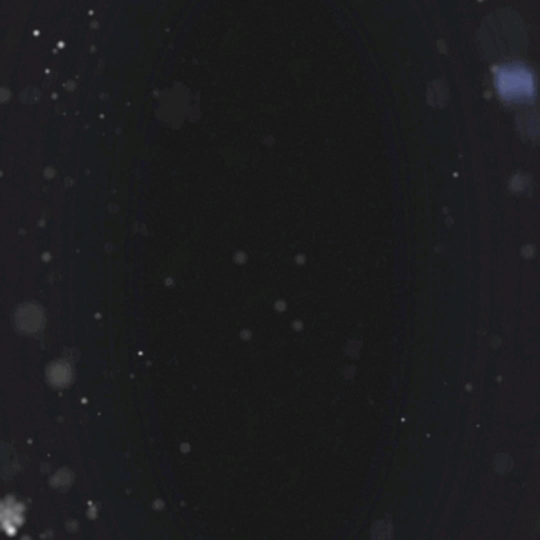 死鬼～爱谁