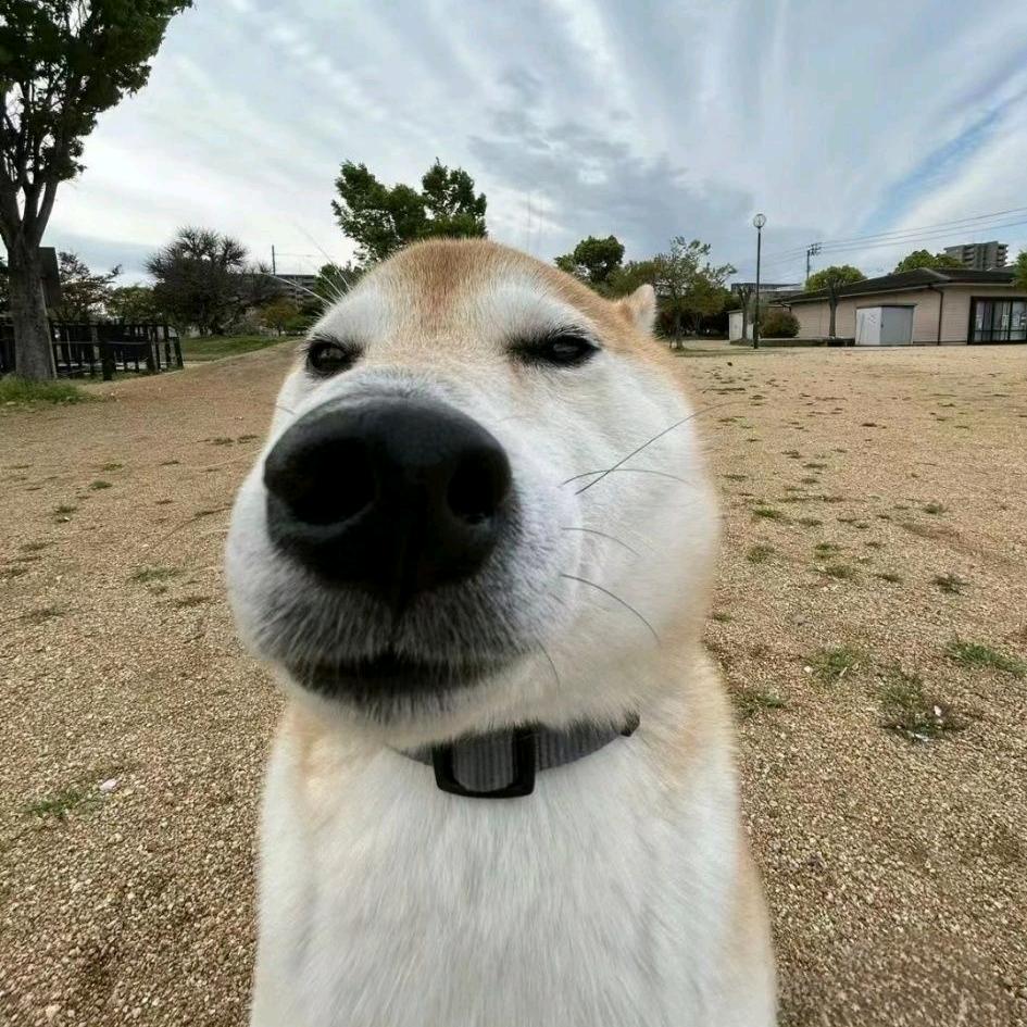 小方