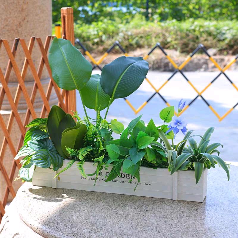 正富台花卉旗舰店