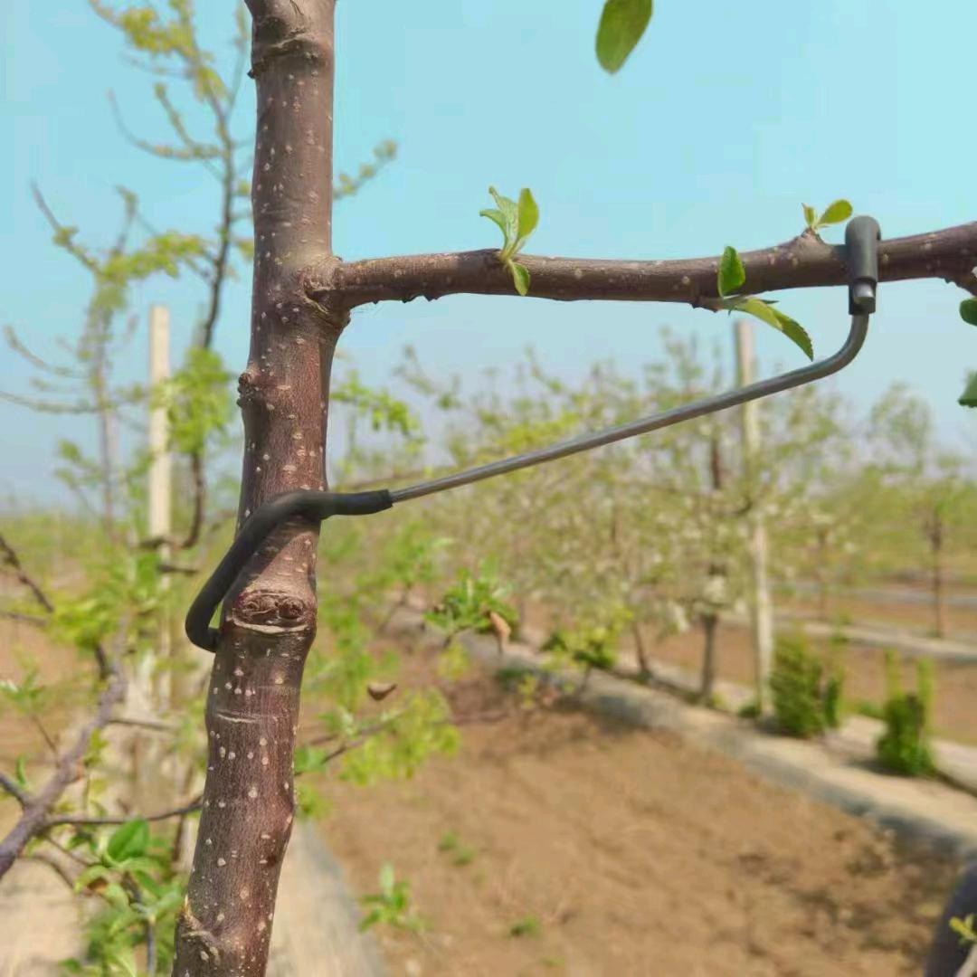 枭梵园林工具厅