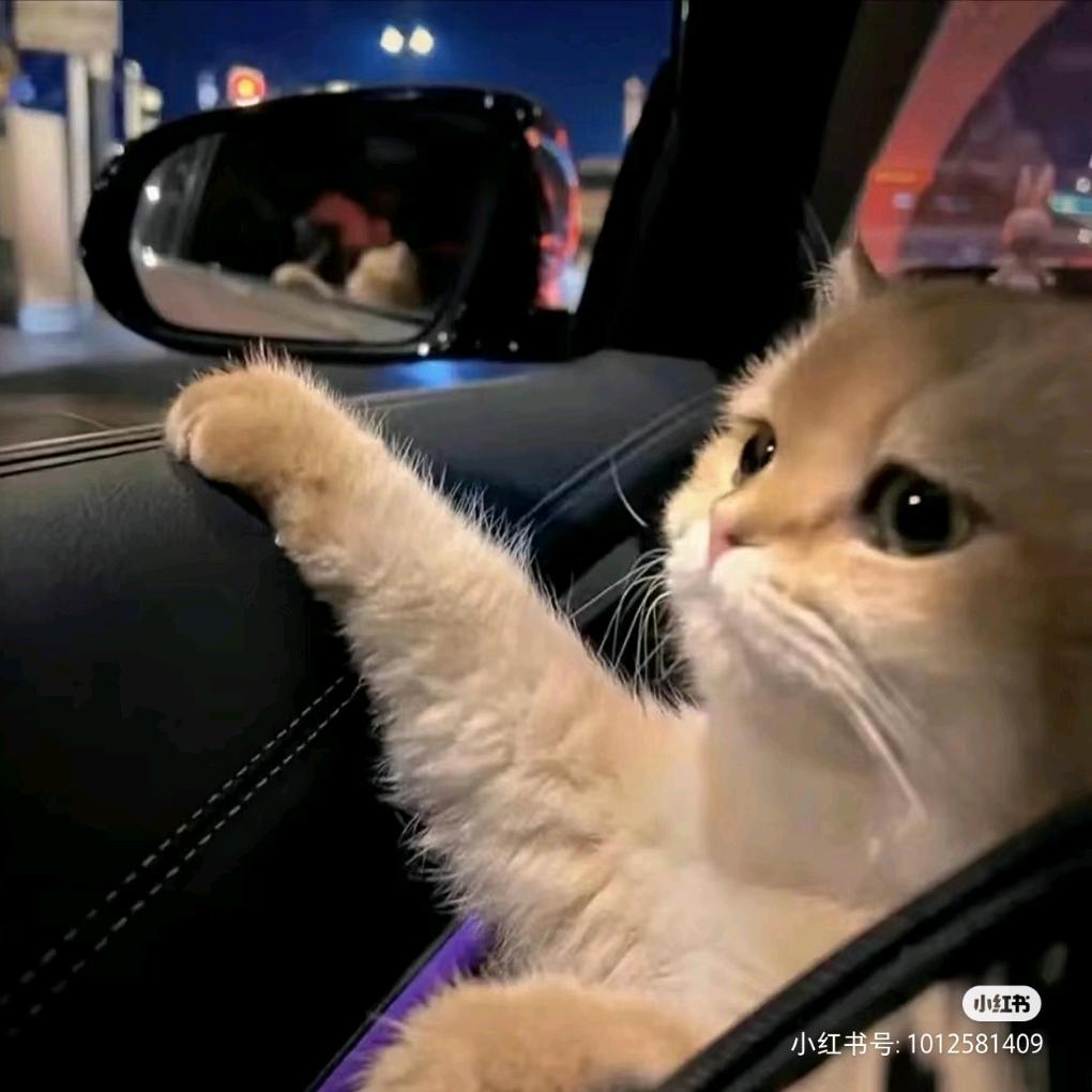 吃不饱饭(눈_눈)