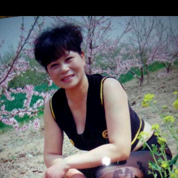 雁归来