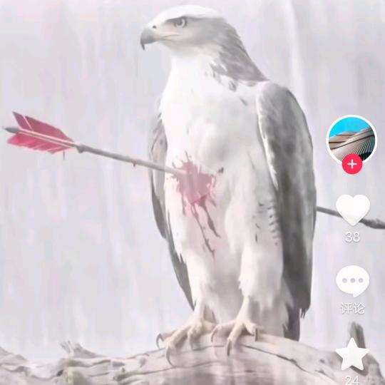 不再沉默