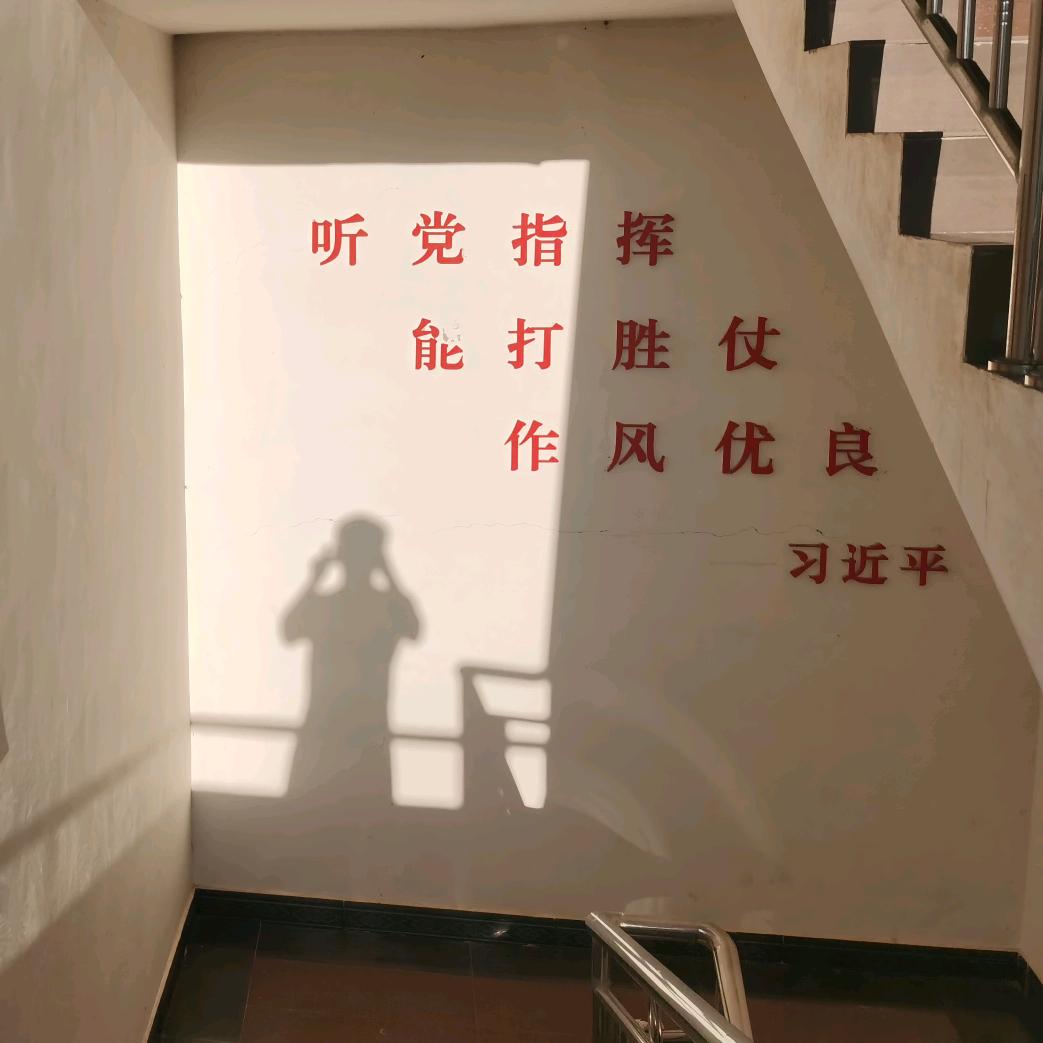 你说的我在听呢୧⍤⃝🌴