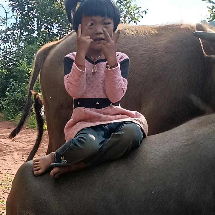 ，爱错人🌹🌹🌹