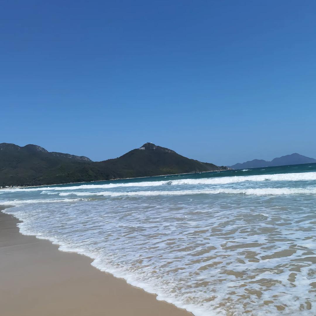 小陈
