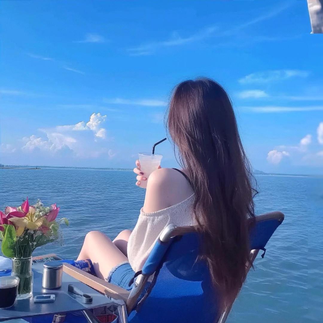 金太阳🐰