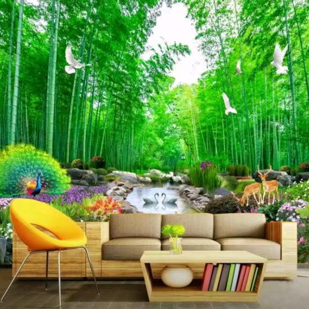 刘浪、创业、首播、《晚上8 ：20》