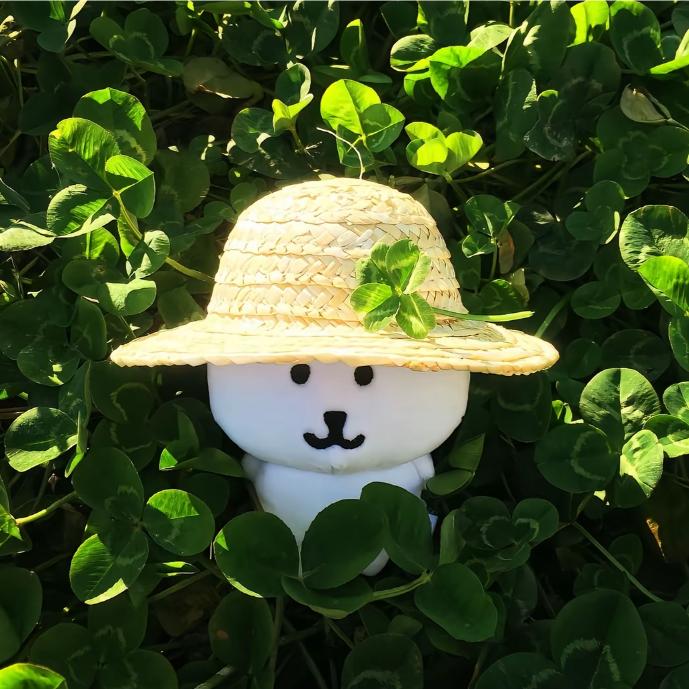 清笳