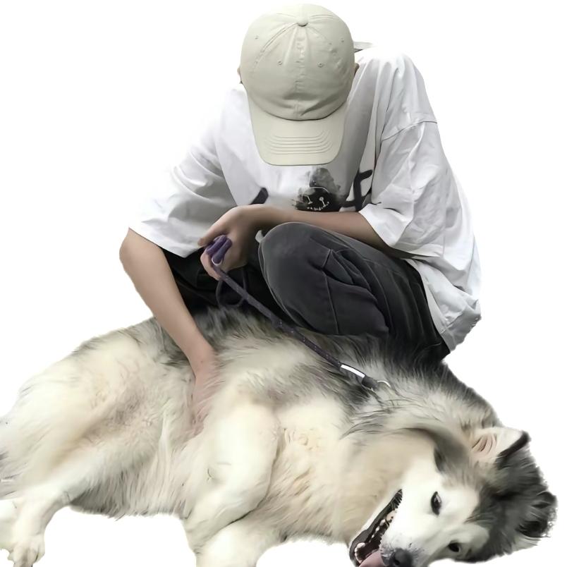 限量的安