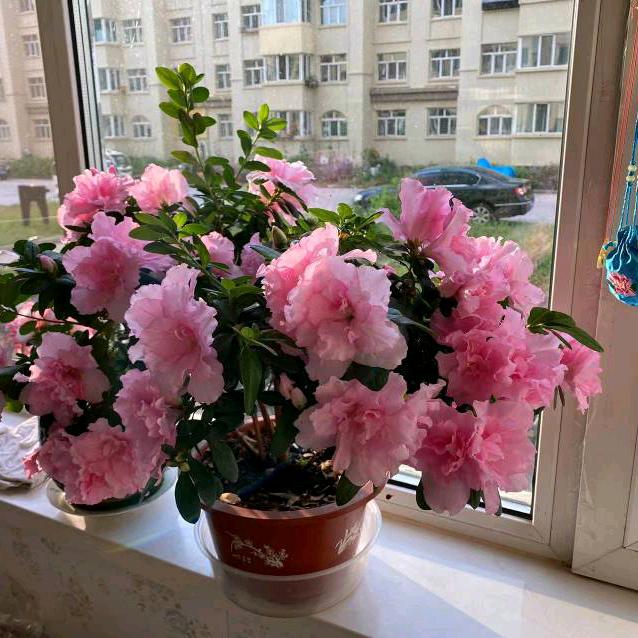 贝尔