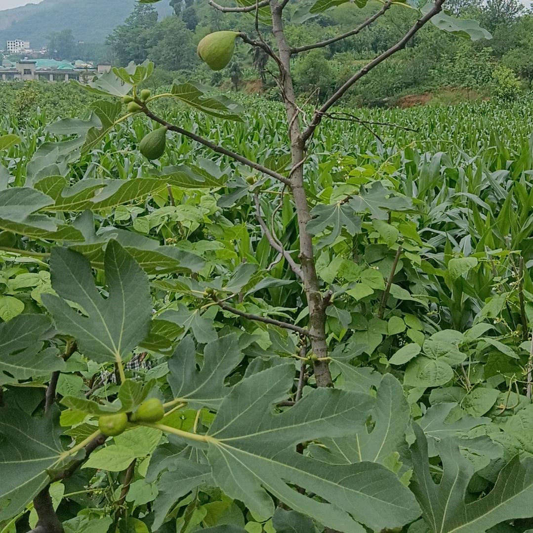 没睡着