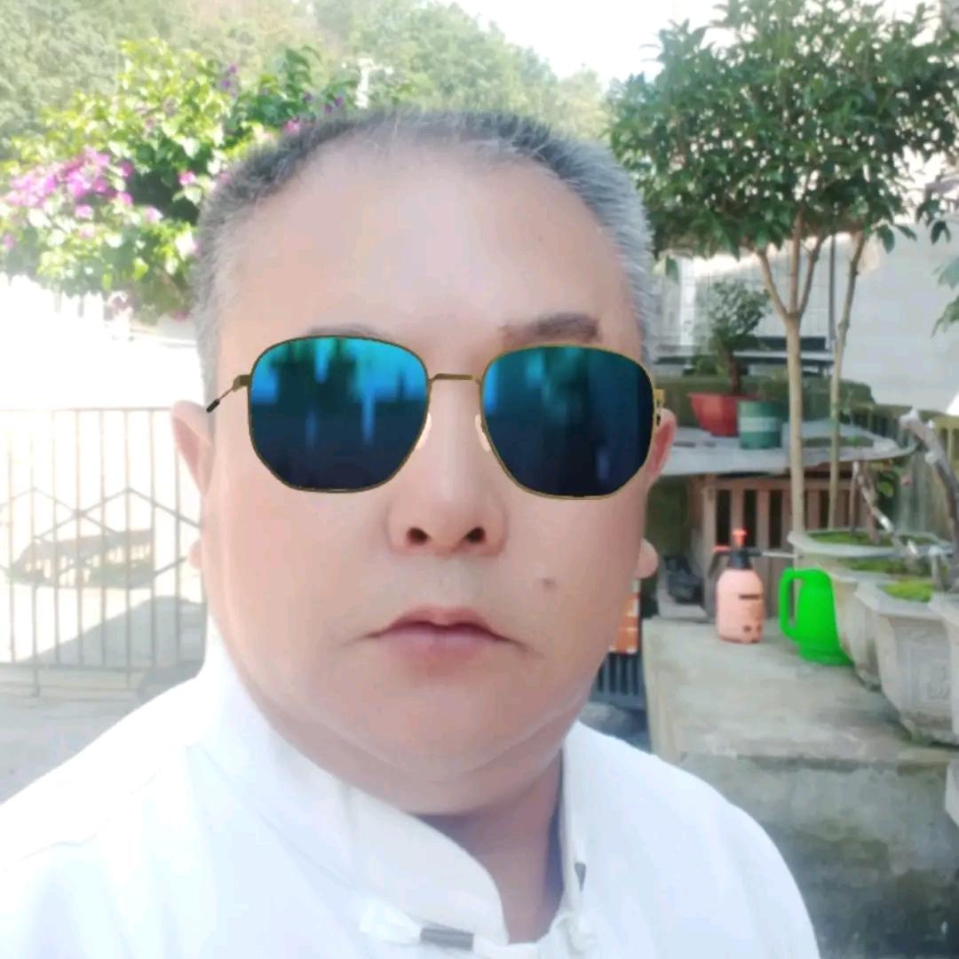 浪哥归巢