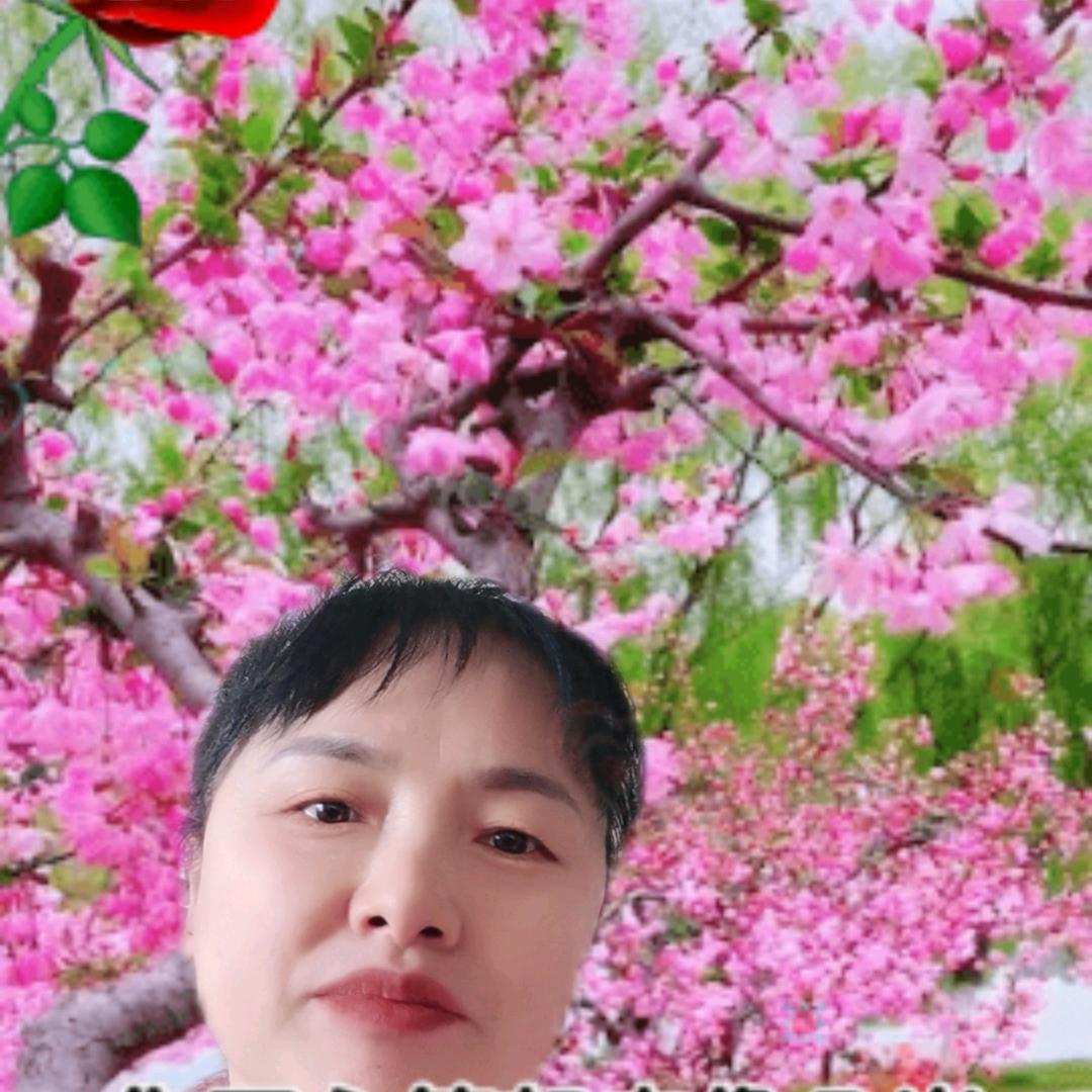 罗姐