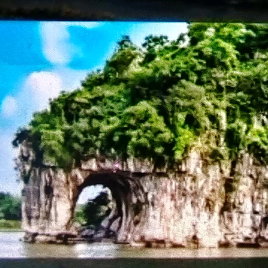 &- ̗̀(๑ᵔ⌔ᵔ๑)杨洋&