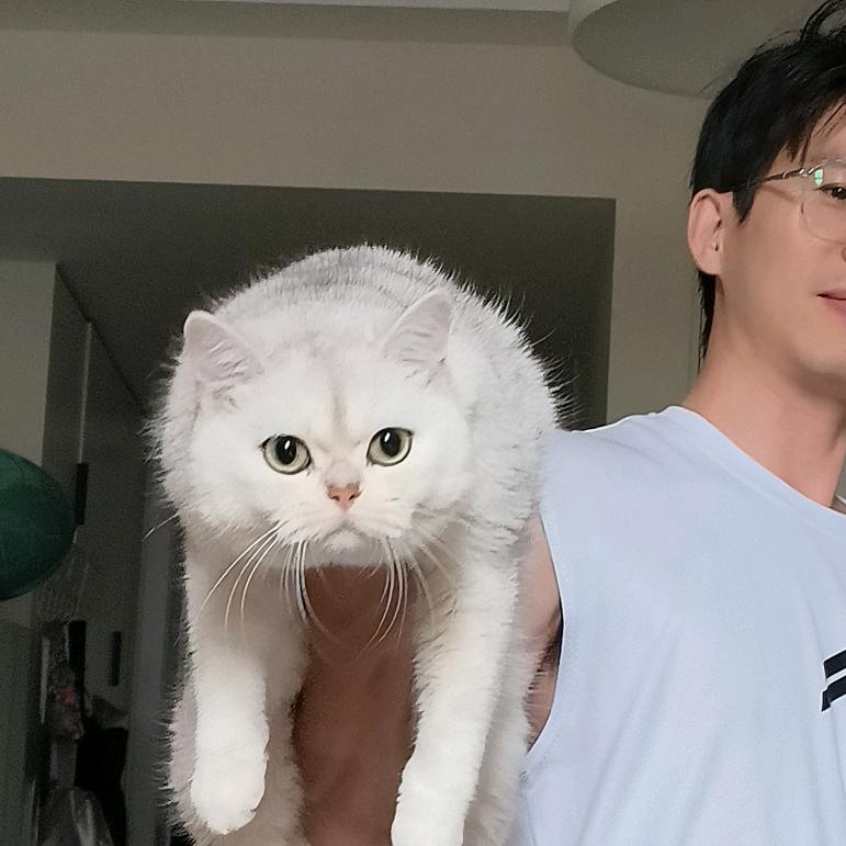 阿巴阿巴头像