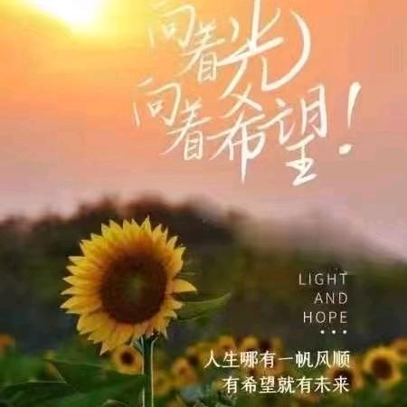 阳光正好