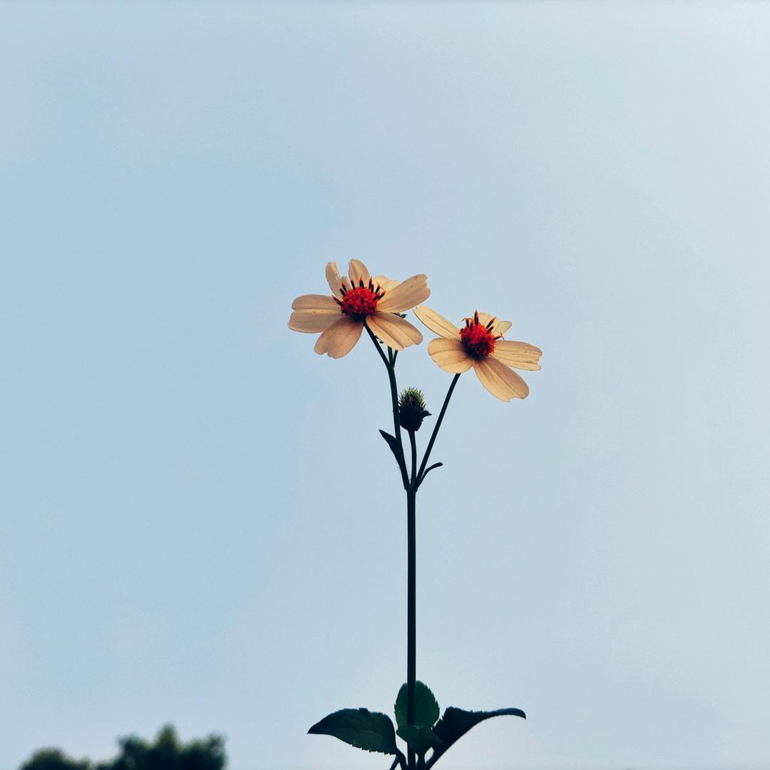不和你玩