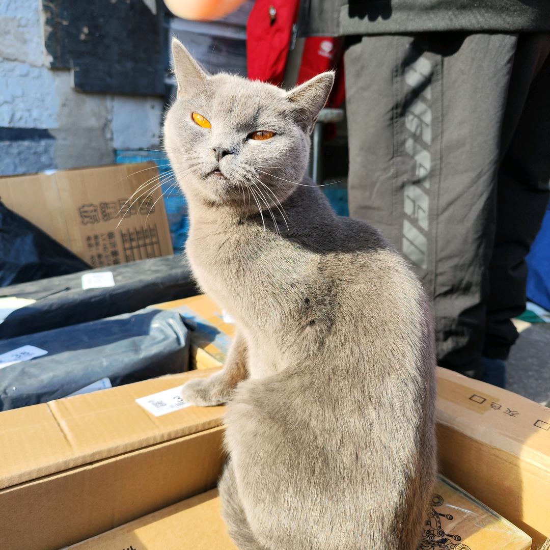 美霞