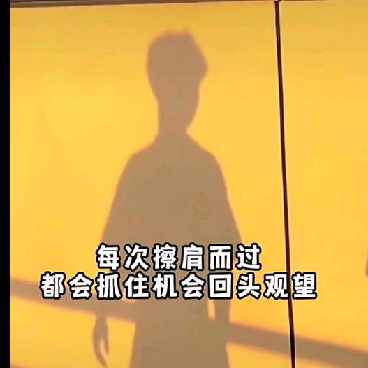 Alex🦋《🇸🇬一个WP的日常》