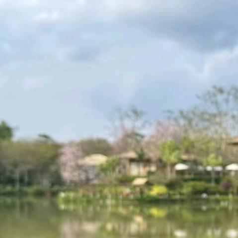 水里的🐟