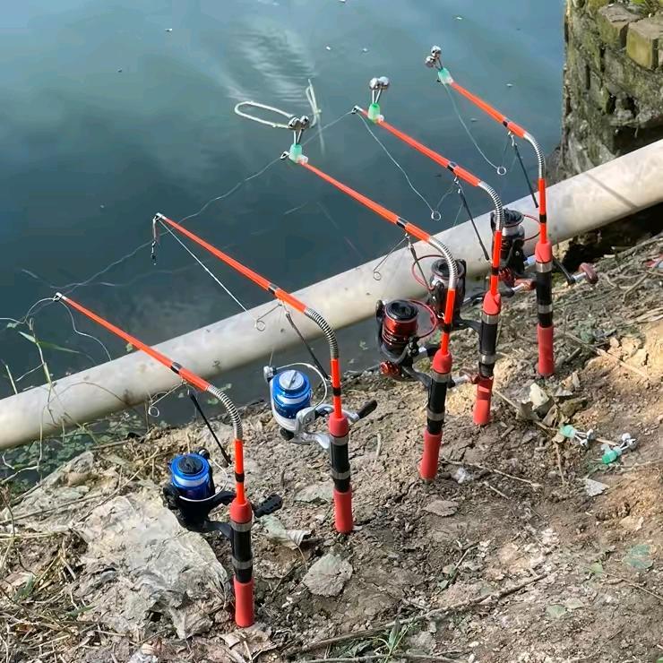 波波爱钓鱼