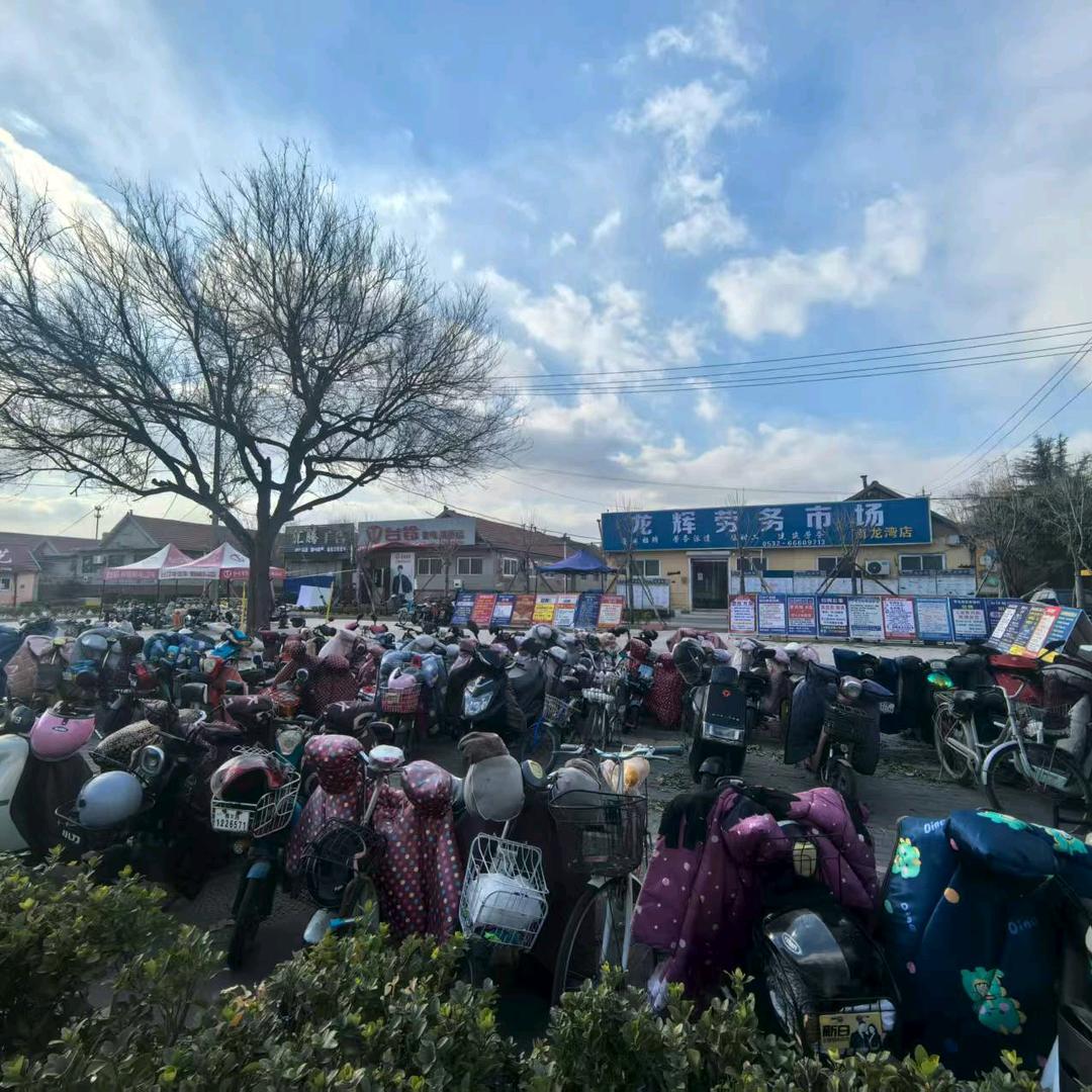 即墨龙辉劳务市场