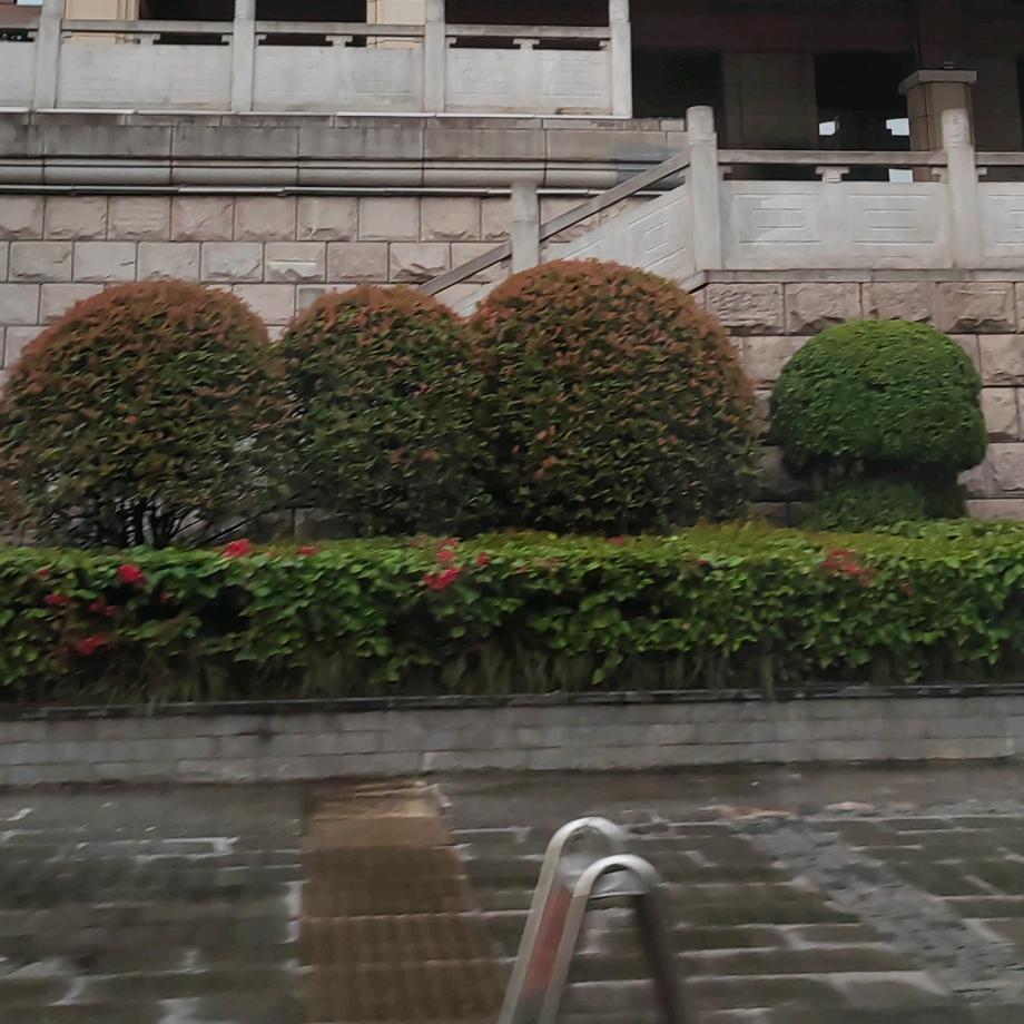 用户56486153253346