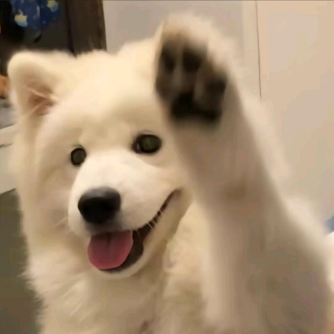 1111