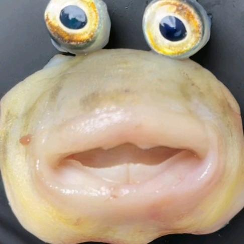 唉