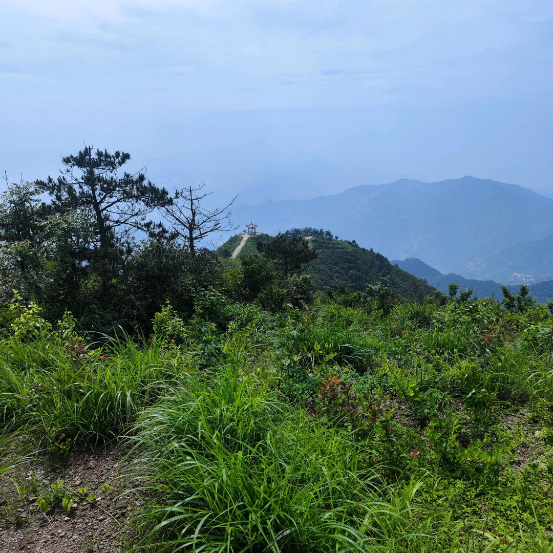 人间✪ω✪一凡夫