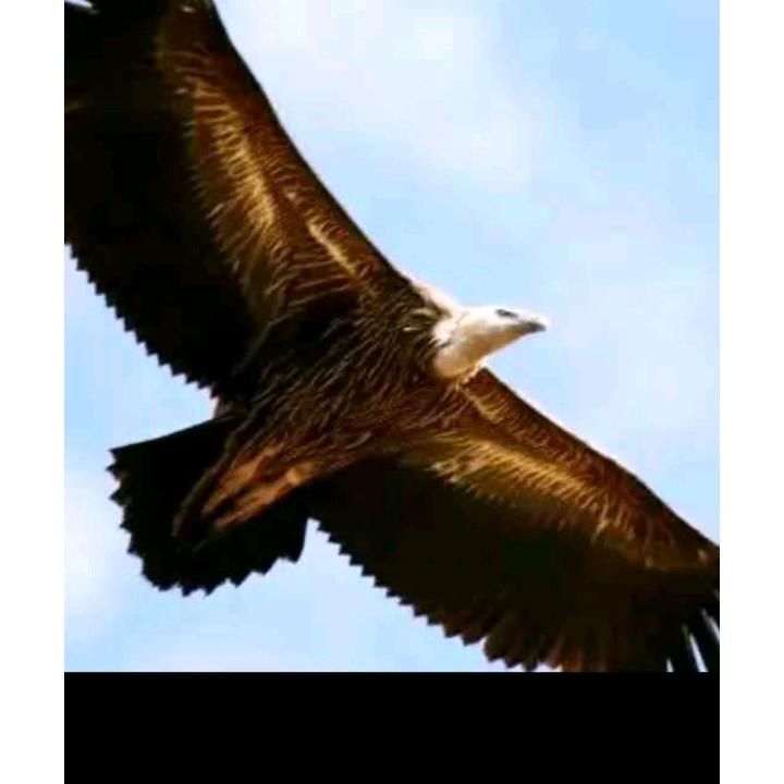 天涯