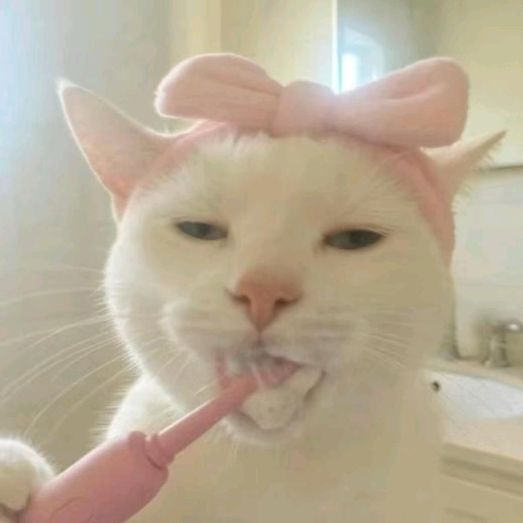 chqi