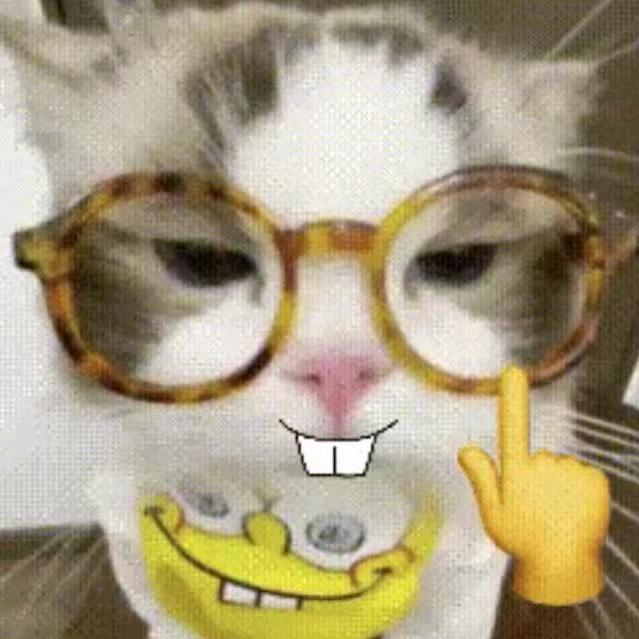 下次看海约在哪