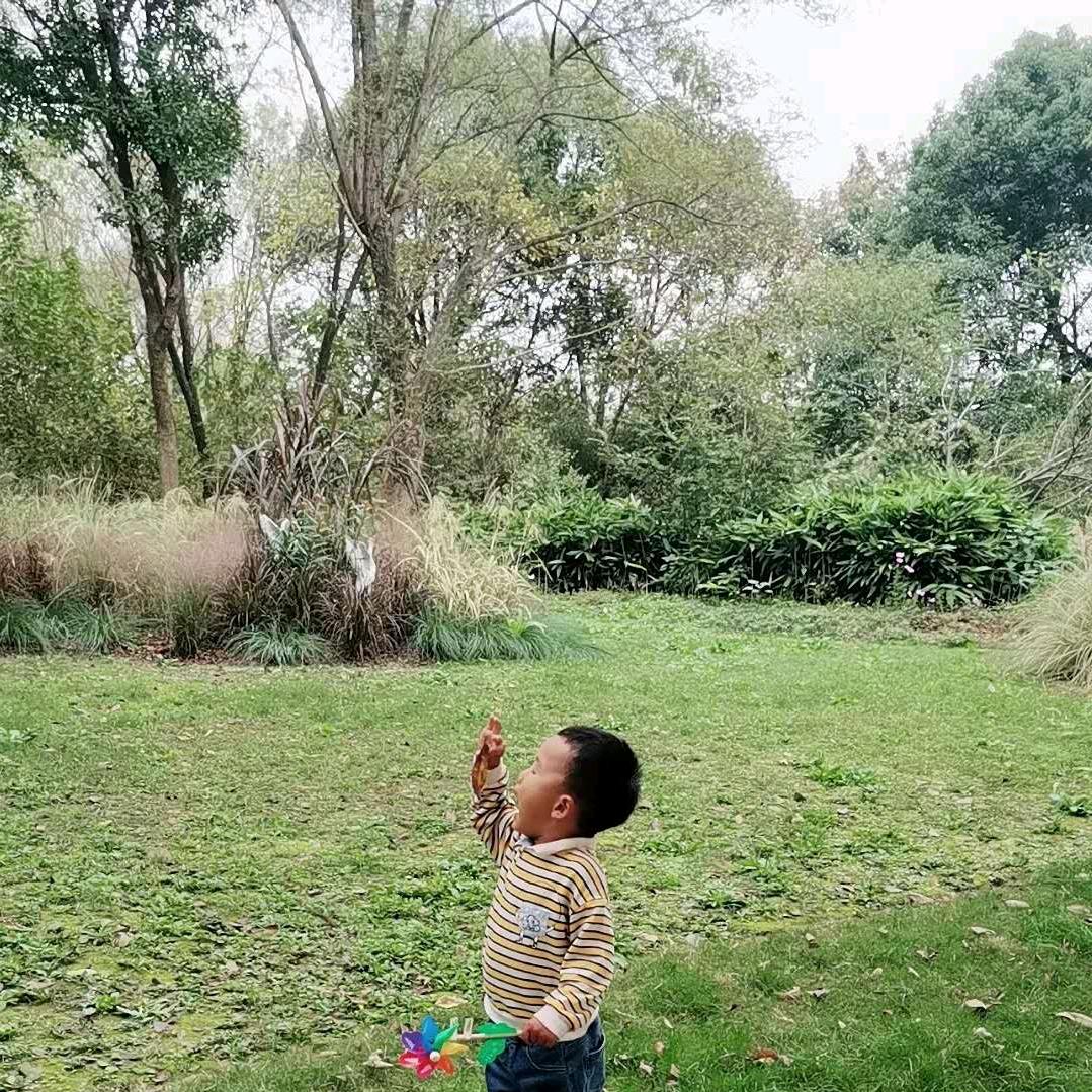 风景独好     手机摄影