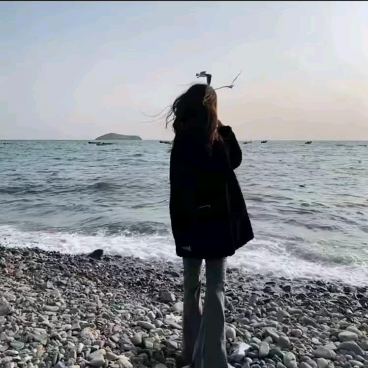 十一月
