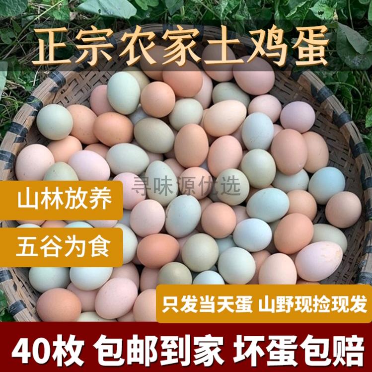 芬姐好物
