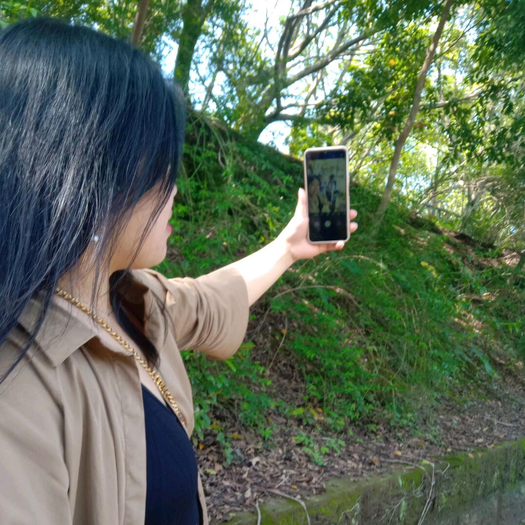 躺平的提拉米苏