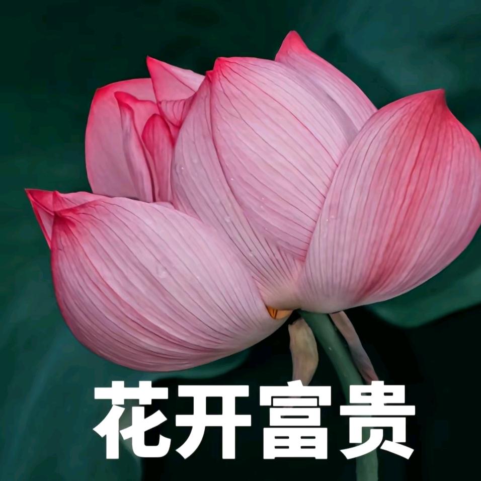 花开富贵。