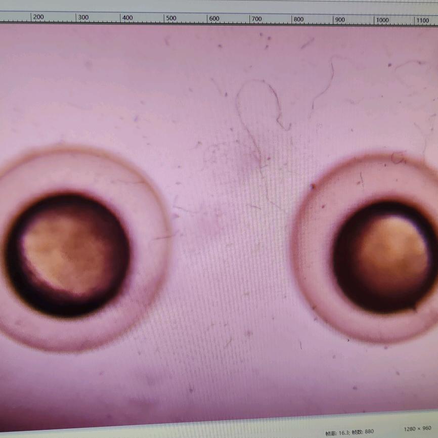 要是每天都看见彩虹就好了