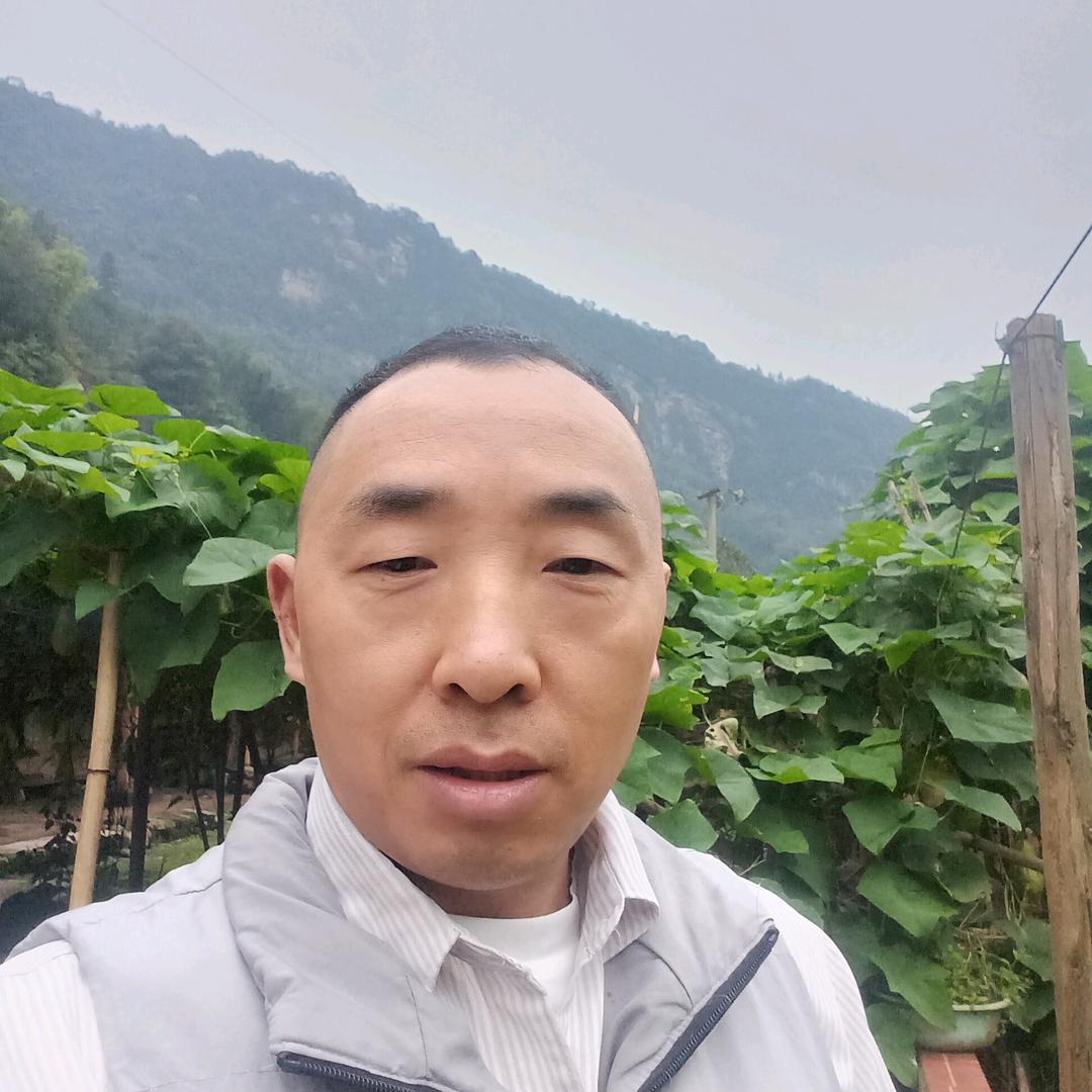 护花成龙95039577337