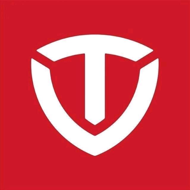 衡东台铃电动车梅子