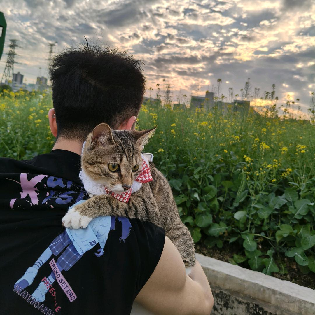 ᥫᩣ喜气洋杨先生