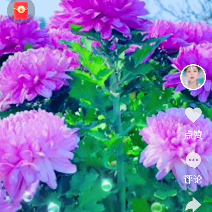 好好爱自已