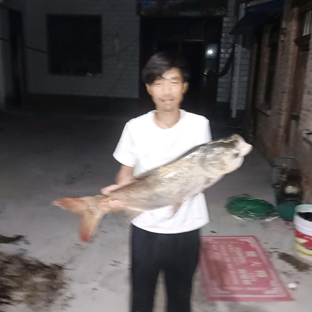 A朱猛