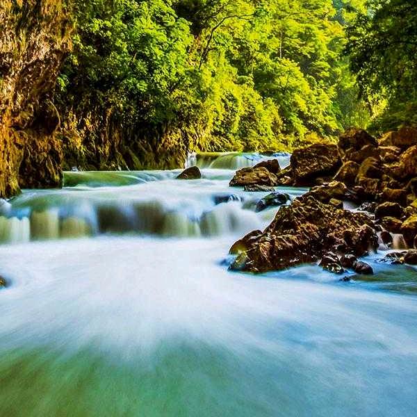 放飞放飞ssq4afogan‘放sdk